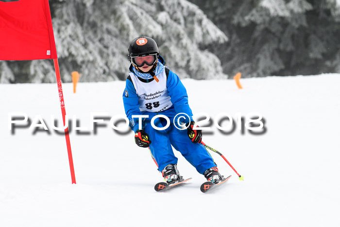 Werdenfelser Kinderskitag, Bambini +Kinder JG 2007, 18.03.2018