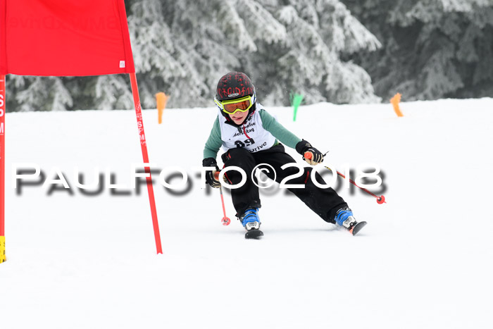 Werdenfelser Kinderskitag, Bambini +Kinder JG 2007, 18.03.2018