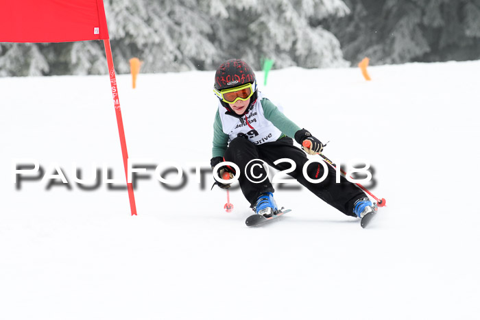 Werdenfelser Kinderskitag, Bambini +Kinder JG 2007, 18.03.2018