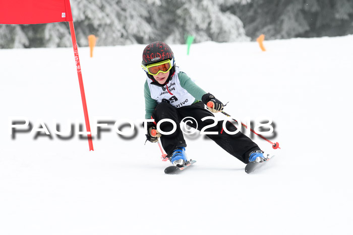 Werdenfelser Kinderskitag, Bambini +Kinder JG 2007, 18.03.2018