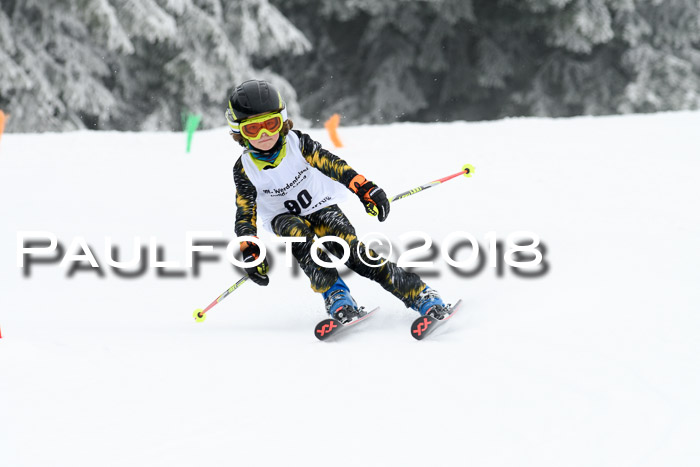 Werdenfelser Kinderskitag, Bambini +Kinder JG 2007, 18.03.2018