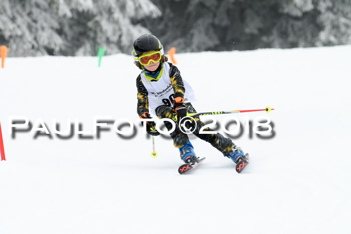 Werdenfelser Kinderskitag, Bambini +Kinder JG 2007, 18.03.2018