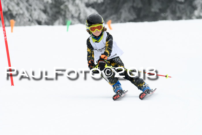 Werdenfelser Kinderskitag, Bambini +Kinder JG 2007, 18.03.2018