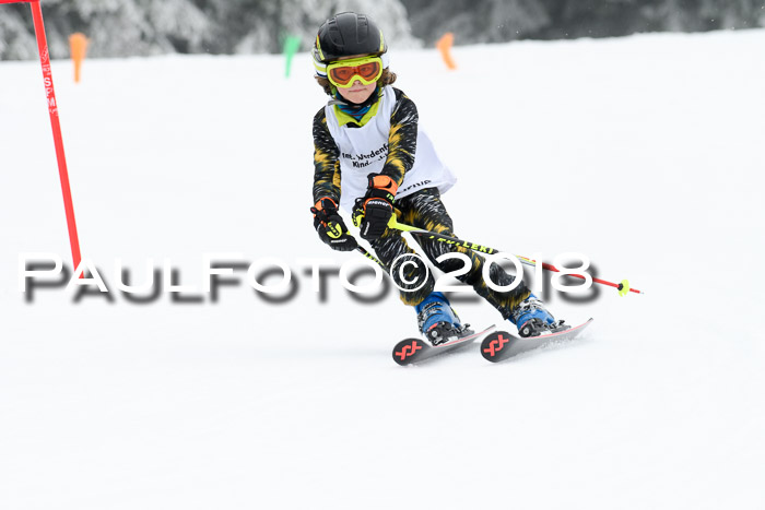 Werdenfelser Kinderskitag, Bambini +Kinder JG 2007, 18.03.2018