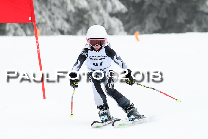 Werdenfelser Kinderskitag, Bambini +Kinder JG 2007, 18.03.2018