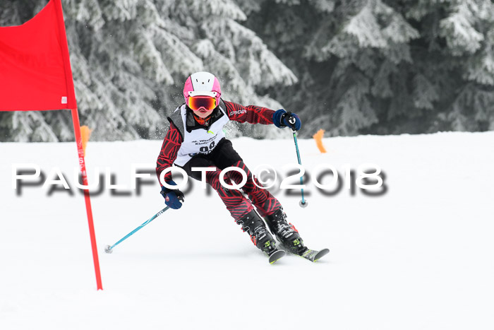 Werdenfelser Kinderskitag, Bambini +Kinder JG 2007, 18.03.2018