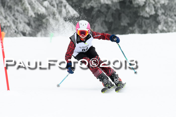 Werdenfelser Kinderskitag, Bambini +Kinder JG 2007, 18.03.2018