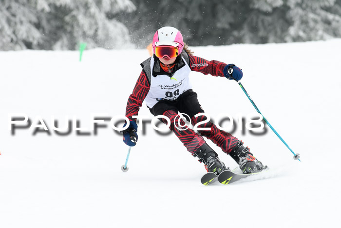 Werdenfelser Kinderskitag, Bambini +Kinder JG 2007, 18.03.2018