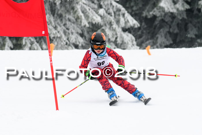Werdenfelser Kinderskitag, Bambini +Kinder JG 2007, 18.03.2018
