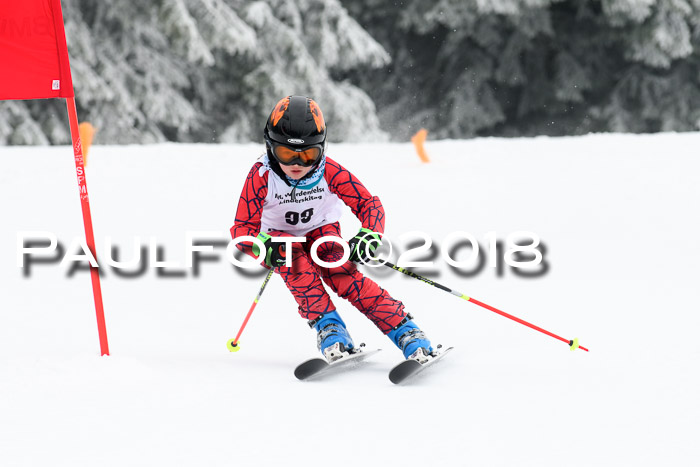 Werdenfelser Kinderskitag, Bambini +Kinder JG 2007, 18.03.2018