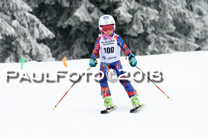 Werdenfelser Kinderskitag, Bambini +Kinder JG 2007, 18.03.2018