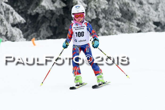 Werdenfelser Kinderskitag, Bambini +Kinder JG 2007, 18.03.2018