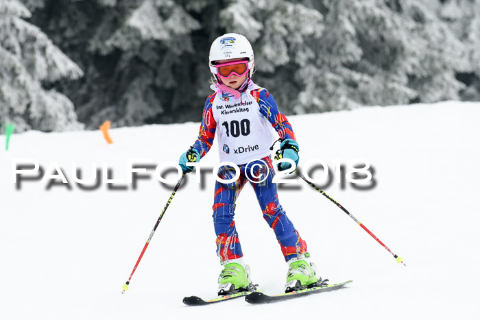 Werdenfelser Kinderskitag, Bambini +Kinder JG 2007, 18.03.2018