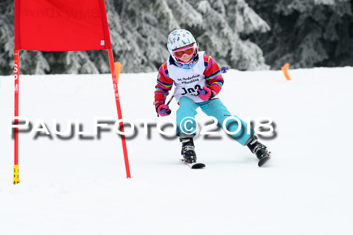 Werdenfelser Kinderskitag, Bambini +Kinder JG 2007, 18.03.2018