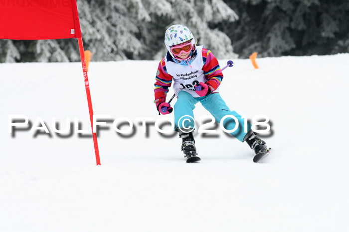 Werdenfelser Kinderskitag, Bambini +Kinder JG 2007, 18.03.2018
