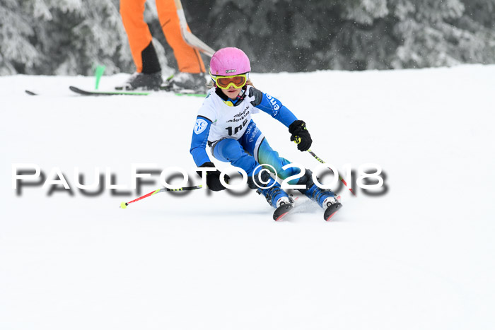 Werdenfelser Kinderskitag, Bambini +Kinder JG 2007, 18.03.2018