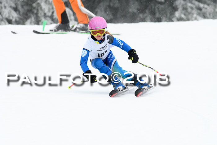 Werdenfelser Kinderskitag, Bambini +Kinder JG 2007, 18.03.2018