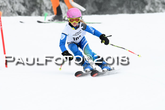 Werdenfelser Kinderskitag, Bambini +Kinder JG 2007, 18.03.2018