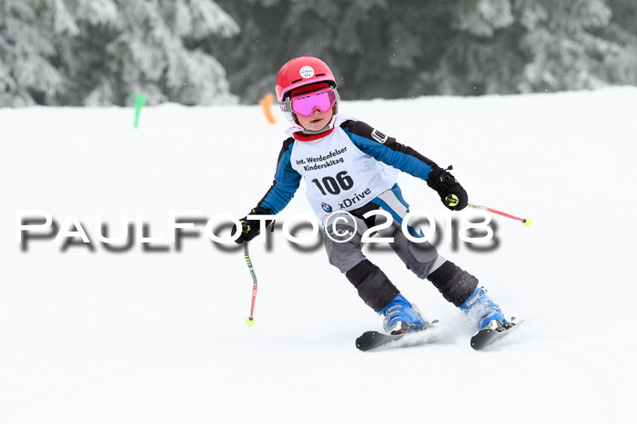 Werdenfelser Kinderskitag, Bambini +Kinder JG 2007, 18.03.2018
