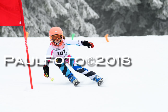 Werdenfelser Kinderskitag, Bambini +Kinder JG 2007, 18.03.2018