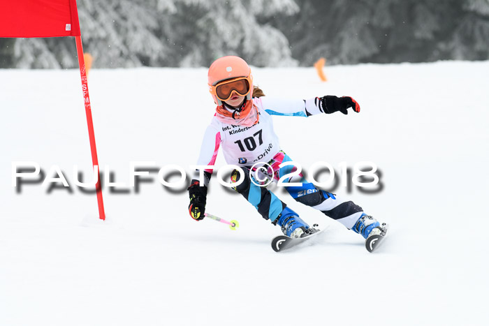 Werdenfelser Kinderskitag, Bambini +Kinder JG 2007, 18.03.2018