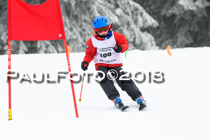 Werdenfelser Kinderskitag, Bambini +Kinder JG 2007, 18.03.2018