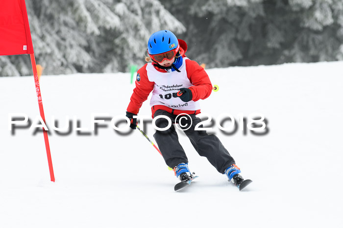 Werdenfelser Kinderskitag, Bambini +Kinder JG 2007, 18.03.2018