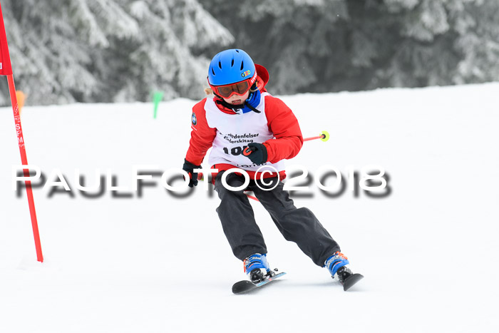 Werdenfelser Kinderskitag, Bambini +Kinder JG 2007, 18.03.2018