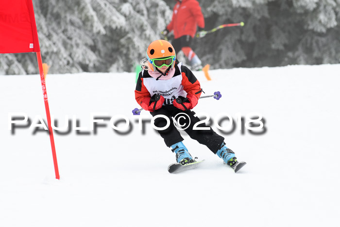 Werdenfelser Kinderskitag, Bambini +Kinder JG 2007, 18.03.2018