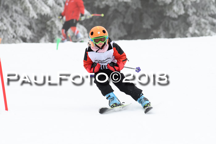 Werdenfelser Kinderskitag, Bambini +Kinder JG 2007, 18.03.2018