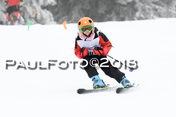 Werdenfelser Kinderskitag, Bambini +Kinder JG 2007, 18.03.2018