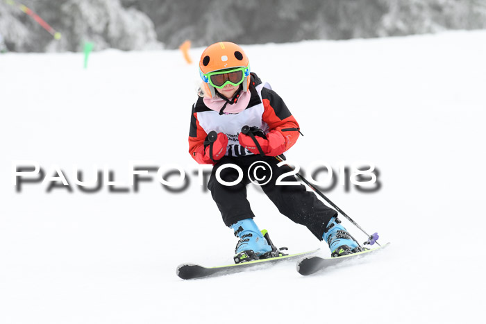 Werdenfelser Kinderskitag, Bambini +Kinder JG 2007, 18.03.2018