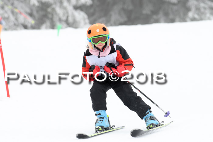 Werdenfelser Kinderskitag, Bambini +Kinder JG 2007, 18.03.2018