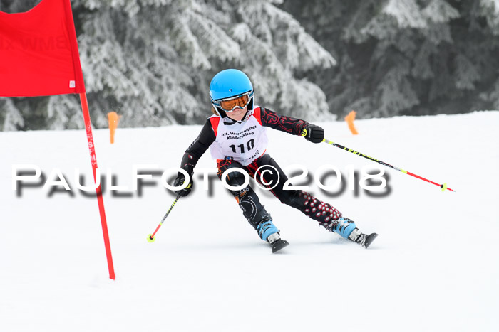 Werdenfelser Kinderskitag, Bambini +Kinder JG 2007, 18.03.2018
