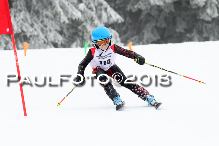 Werdenfelser Kinderskitag, Bambini +Kinder JG 2007, 18.03.2018