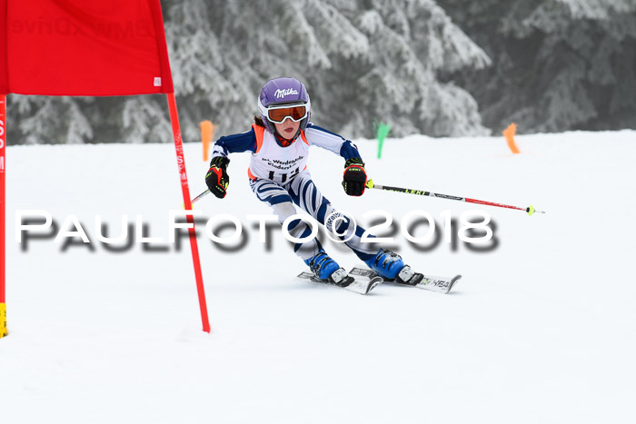 Werdenfelser Kinderskitag, Bambini +Kinder JG 2007, 18.03.2018
