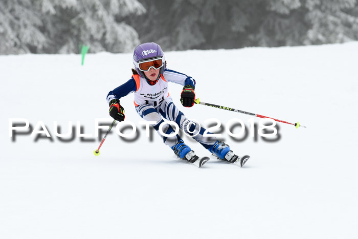 Werdenfelser Kinderskitag, Bambini +Kinder JG 2007, 18.03.2018