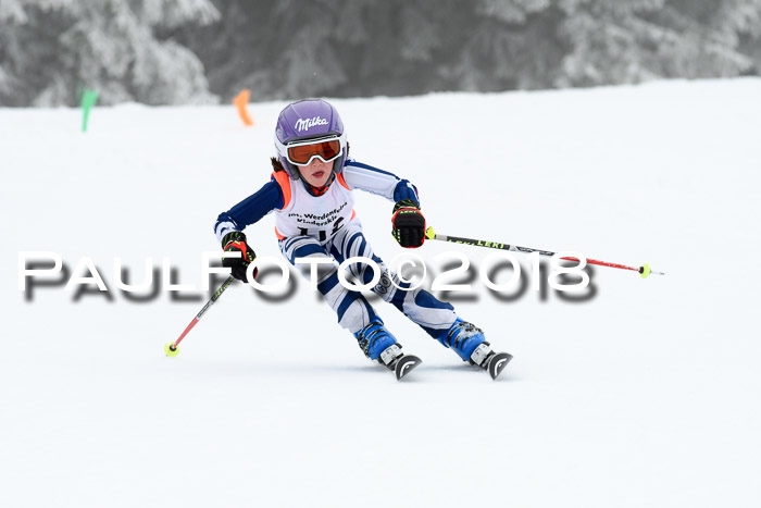 Werdenfelser Kinderskitag, Bambini +Kinder JG 2007, 18.03.2018