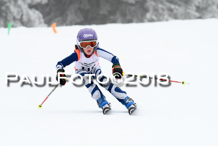 Werdenfelser Kinderskitag, Bambini +Kinder JG 2007, 18.03.2018