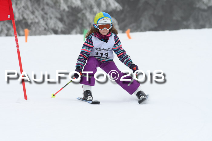 Werdenfelser Kinderskitag, Bambini +Kinder JG 2007, 18.03.2018