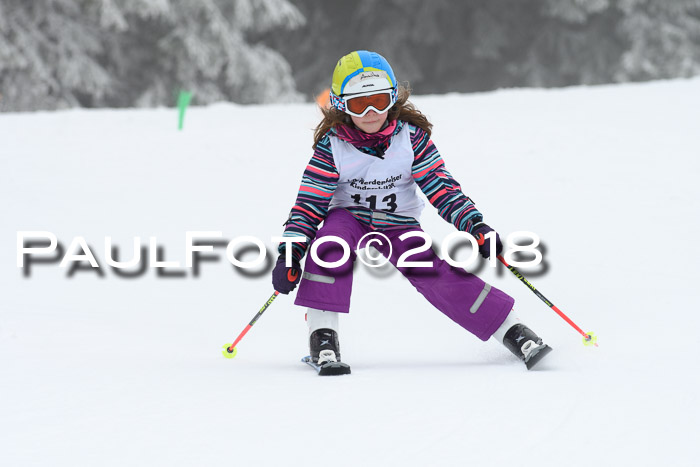 Werdenfelser Kinderskitag, Bambini +Kinder JG 2007, 18.03.2018