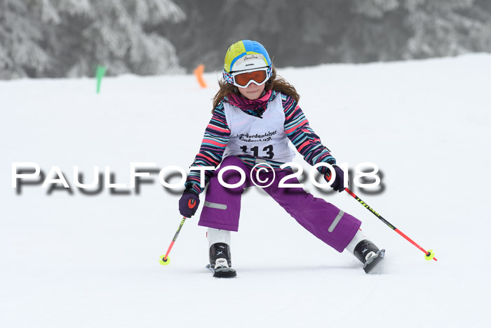 Werdenfelser Kinderskitag, Bambini +Kinder JG 2007, 18.03.2018