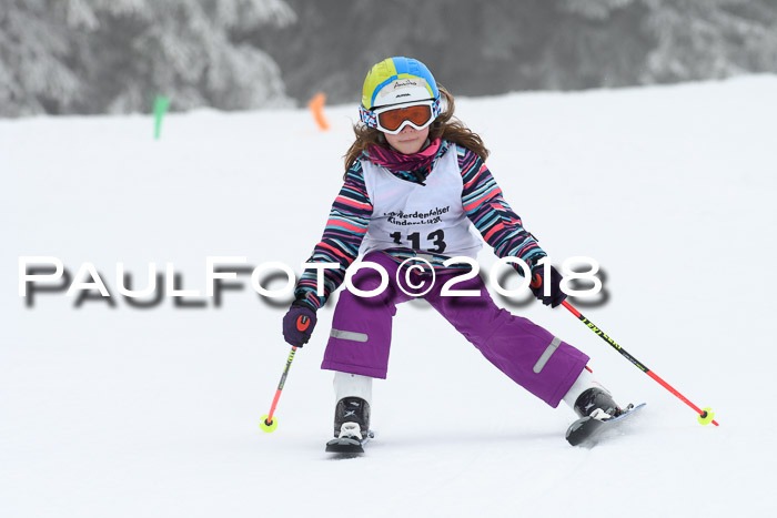 Werdenfelser Kinderskitag, Bambini +Kinder JG 2007, 18.03.2018