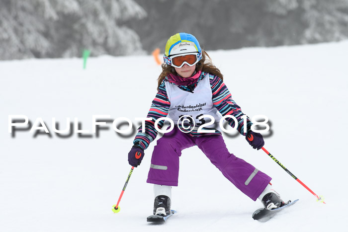 Werdenfelser Kinderskitag, Bambini +Kinder JG 2007, 18.03.2018