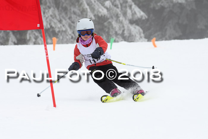 Werdenfelser Kinderskitag, Bambini +Kinder JG 2007, 18.03.2018