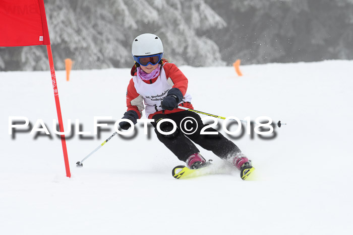 Werdenfelser Kinderskitag, Bambini +Kinder JG 2007, 18.03.2018