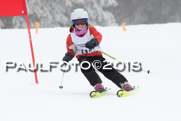 Werdenfelser Kinderskitag, Bambini +Kinder JG 2007, 18.03.2018