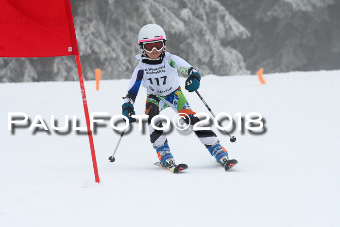 Werdenfelser Kinderskitag, Bambini +Kinder JG 2007, 18.03.2018
