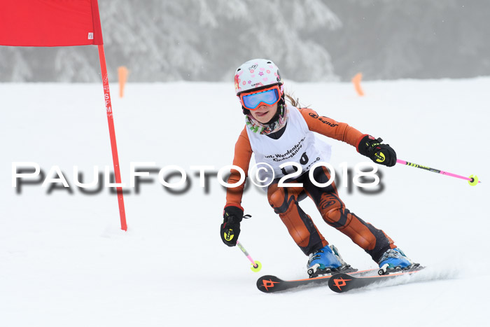 Werdenfelser Kinderskitag, Bambini +Kinder JG 2007, 18.03.2018