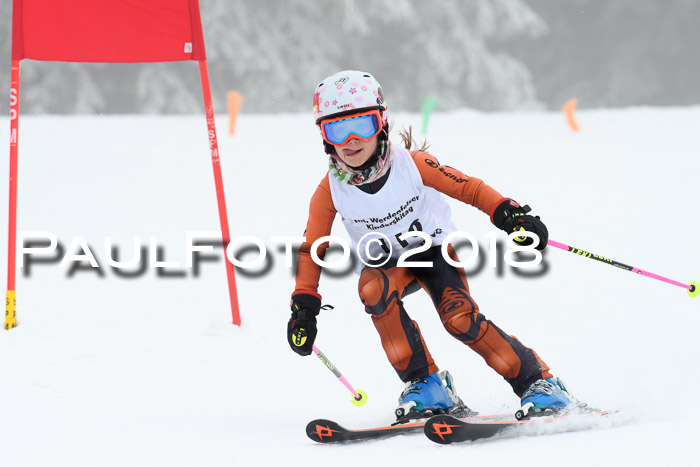 Werdenfelser Kinderskitag, Bambini +Kinder JG 2007, 18.03.2018